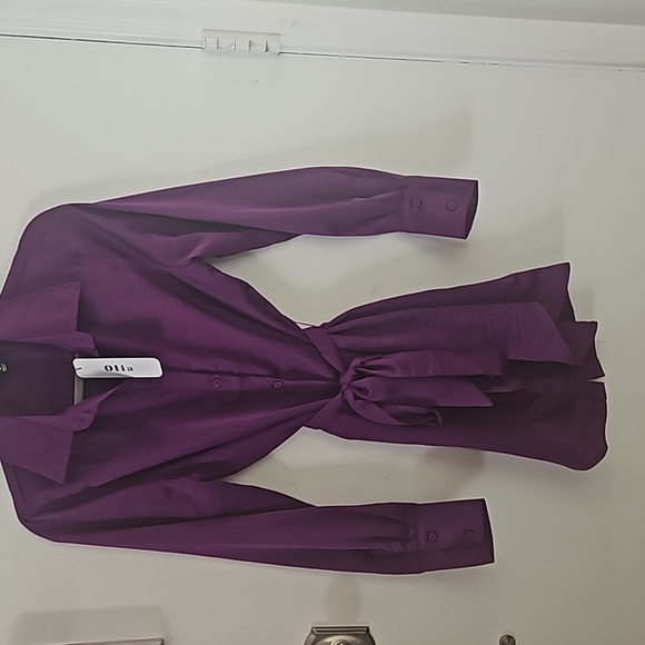 Sexy Collared Purple Dress - Picture 4 of 5